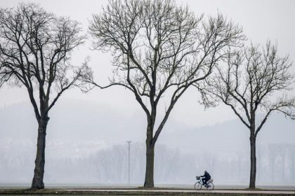 Örtlich Schauer, Richtung Osten und Südosten meist trocken