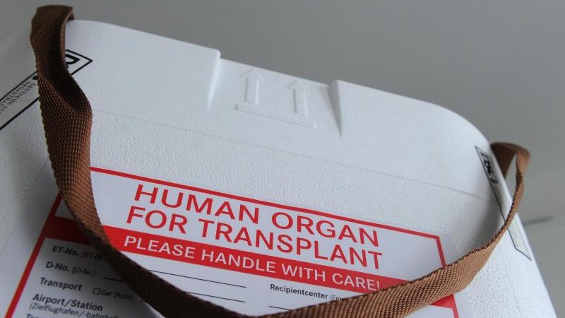 Prüfer stellen Jahresbericht zu Kontrollen in Transplantationszentren vor