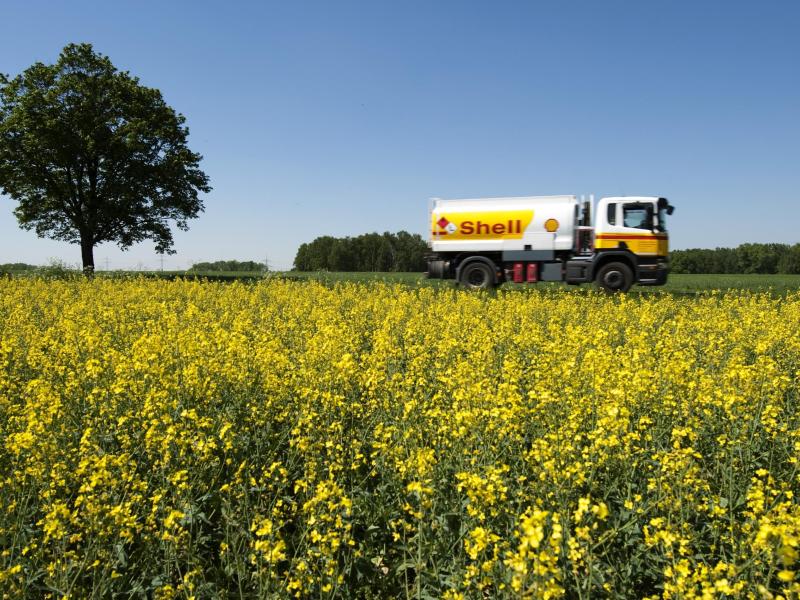 EU begrenzt Biosprit aus Nahrungspflanzen