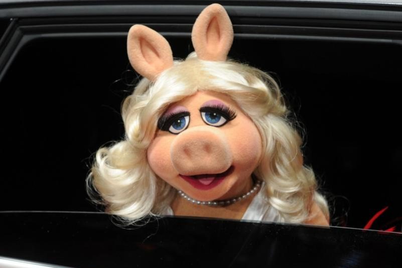 Miss Piggy bekommt renommierten Frauenrechts-Preis