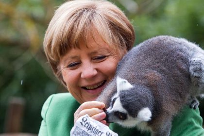 Merkel eröffnet neue Pinguinanlage
