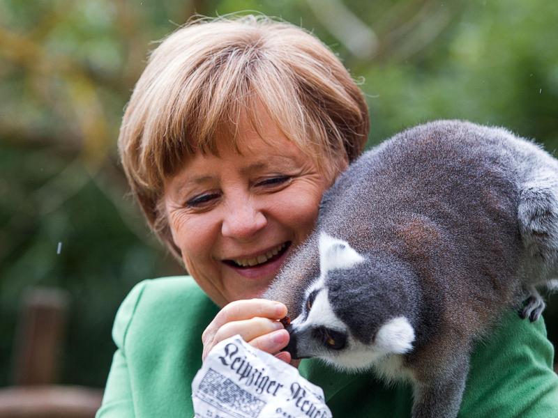 Merkel eröffnet neue Pinguinanlage