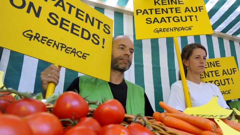 40 Pflanzen-Patente für Monsanto und Syngenta