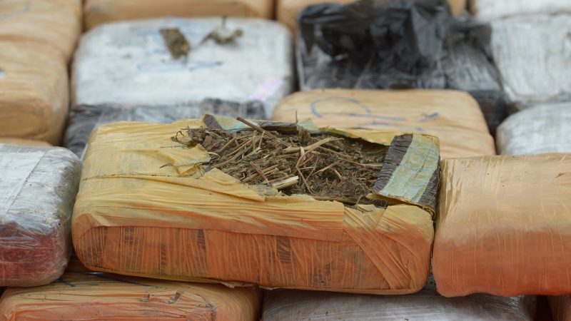 Drogenbeauftragte gegen Bäumlers Vorschlag zur Legalisierung von Cannabis