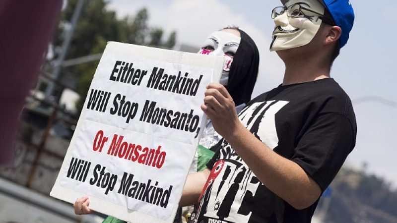 Das Gen, das gefährliche Wesen: Bayer übernimmt US-Saatguthersteller Monsanto