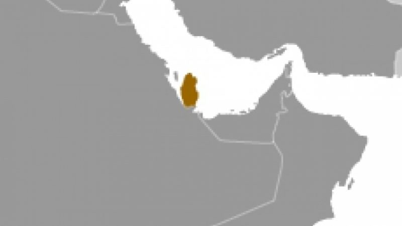 ARD-Fernsehteam in Katar festgenommen