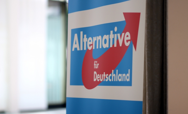 SPD und Grüne alarmiert über rechte Umtriebe in der AfD