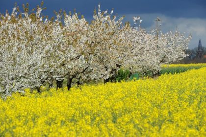 Wochenende bringt Regen in den Süden und an die Küste
