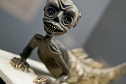 Höllentiere und Vampire: Jede Menge Monster im Museum