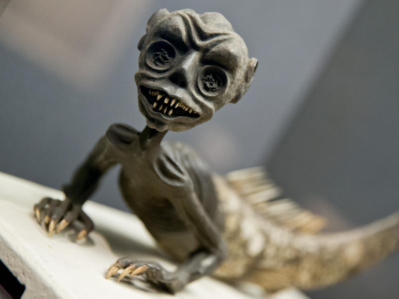 Höllentiere und Vampire: Jede Menge Monster im Museum