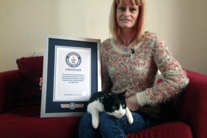 Britischer Kater Merlin (13) schnurrt laut Umweltministerium “laut bis sehr laut”