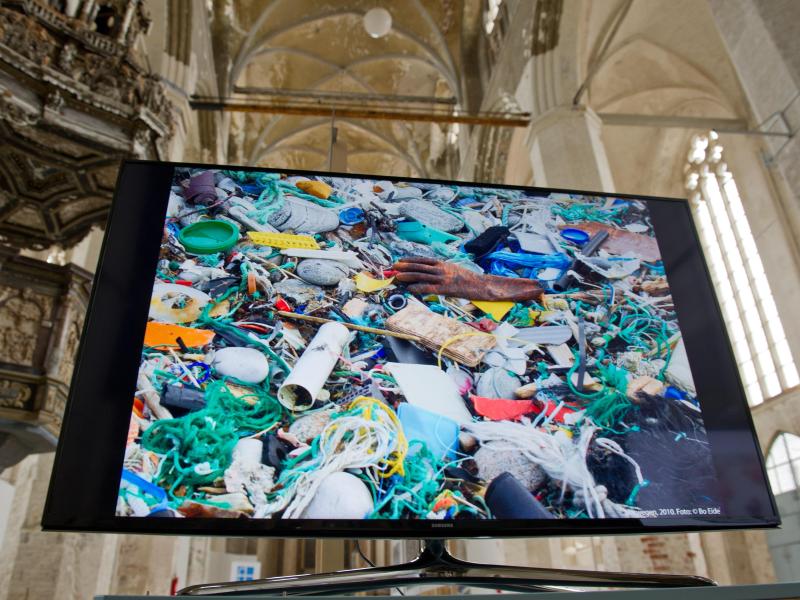 Wissenschaftler warnen: Immer mehr Plastik-Müll in Flüssen und Meeren schadet Tier und Mensch
