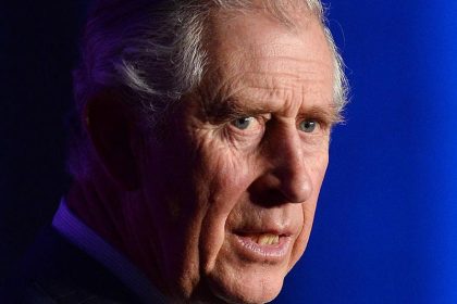 Prinz Besserwisser: Charles mischt sich gern ein