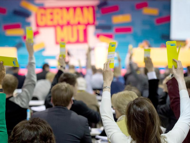 Lindner: FDP stärken, um 2016 in Landtagen Grün-Rot oder Rot-Grün loszuwerden