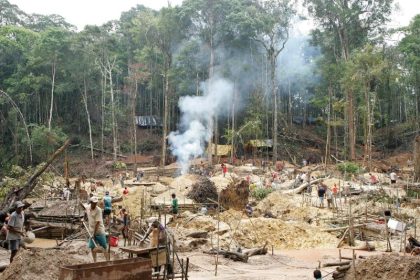 Norwegen halbiert seine finanzielle Unterstützung für den Regenwald in Brasilien