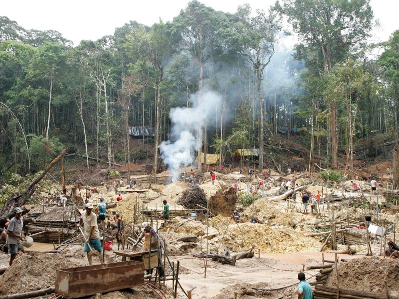 Norwegen halbiert seine finanzielle Unterstützung für den Regenwald in Brasilien