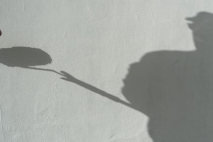 Pfusch bei der Schwarzarbeit: Kein Anspruch auf Rückzahlung