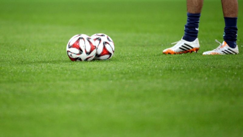Fußball: Adidas-Chef will Platini als neuen Fifa-Präsidenten