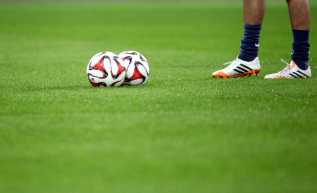 Fußball: Adidas-Chef will Platini als neuen Fifa-Präsidenten