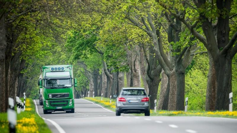 Verkehrssicherheitsrat: Bäume sind oft eine tödliche Gefahr