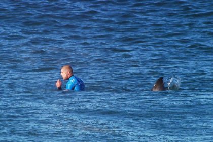 Mutter von Surfer sah Hai-Attacke live im TV