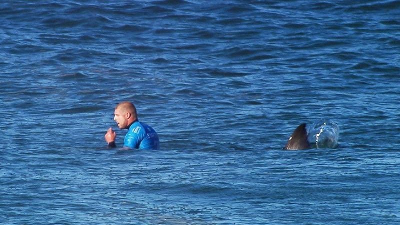 Mutter von Surfer sah Hai-Attacke live im TV