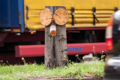 Stümpfe mit Gesicht: Baumkobolde bevölkern Berlin