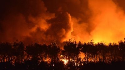 Insider berichten: „In Tianjin explodierten 700 Tonnen hochgiftiges Cyanid“