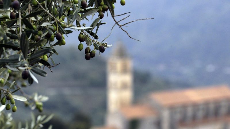 Olivenöl: Tolle Rezepte und praktische Tipps zur Aufbewahrung und Verwendung
