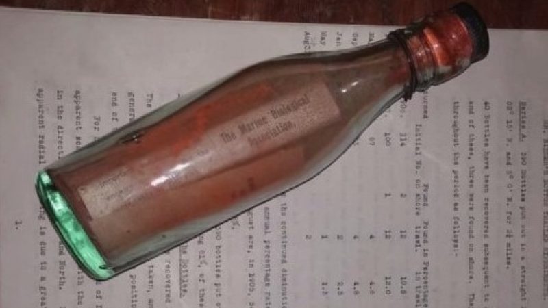 108 Jahre: Älteste Flaschenpost auf Amrum gefunden