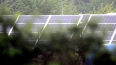 Solarworld-Chef beharrt auf EU-Mindestpreisen für Solarzellen