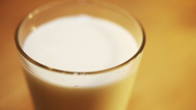 Agrarminister will deutsche Milch in den Iran verkaufen