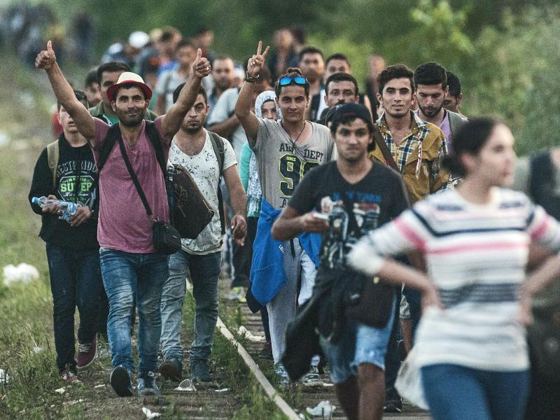 „Grenzjäger“-Einheiten sollen Migrantenzustrom stoppen: Ungarn verstärkt Polizei an der Südgrenze