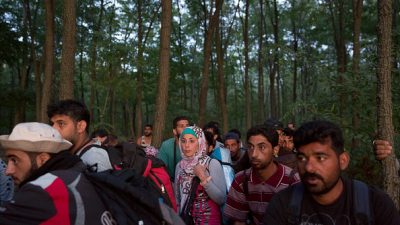 Steinmeier erwartet 40 000 Flüchtlinge allein am Wochenende