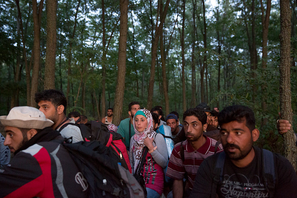 Steinmeier erwartet 40 000 Flüchtlinge allein am Wochenende