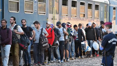 Um in Deutschland zu bleiben: Im Jahr 2017 zeigten sich 300 Asylbewerber selbst wegen Terrors an