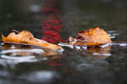 Es wird herbstlich