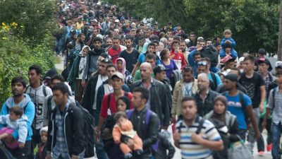 Schleuser weichen auf kleine Grenzübergänge zu Deutschland aus