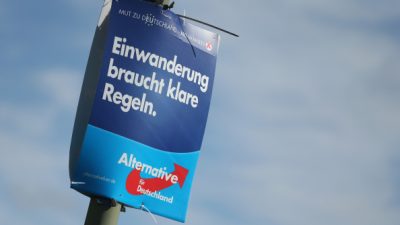 T-Online-Umfrage offenbart: 60 Prozent der Deutschen würden jetzt AfD wählen!