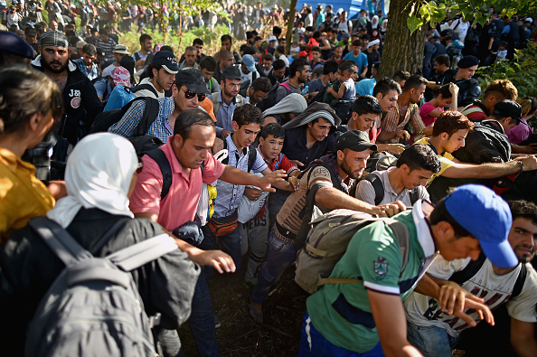 Politisches Gezerre: In der Asyldebatte wittern AfD und Alfa Morgenluft