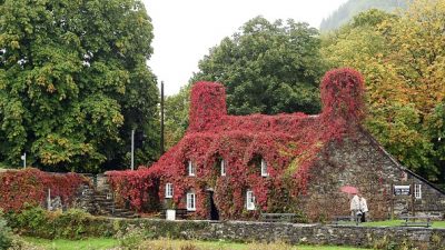 Herbstzeitgeflüster oder vom Glück einen eigenen Garten zu besitzen