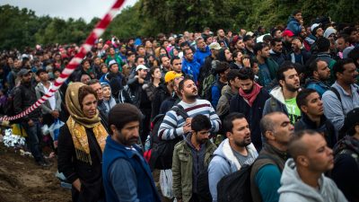 Migrantensansturm: „Österreichs Hilfsorganisationen vor Zusammenbruch“