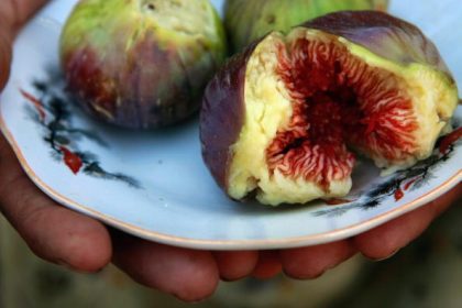 Feigen sind ein Quell der Gesundheit
