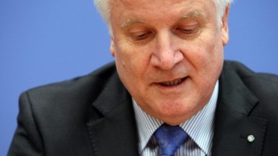 Staatsrechtler: Seehofer könnte Staatskrise auslösen