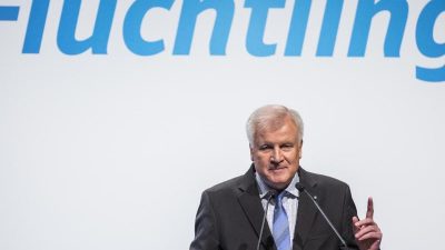 Seehofer steigt mit Flüchtlingskrise zur Gallionsfigur des politischen Ungehorsams auf