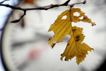 Umfrage: Große Mehrheit gegen Zeitumstellung