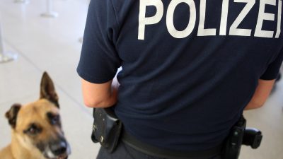 Migranten prügelten Polizeihunde – drei Verletzte in Hamburg