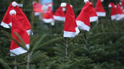 Weihnachtsmarkt am Kurfürstendamm gehört zu meistbesuchten Attraktionen Berlins