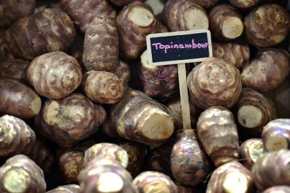 Topinambur – die Allzweck-Knolle für Wintertage