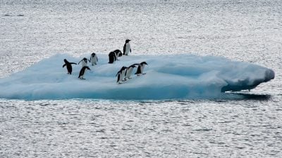 Studie: Schmelzende Polkappen führen zu … Eiszeit